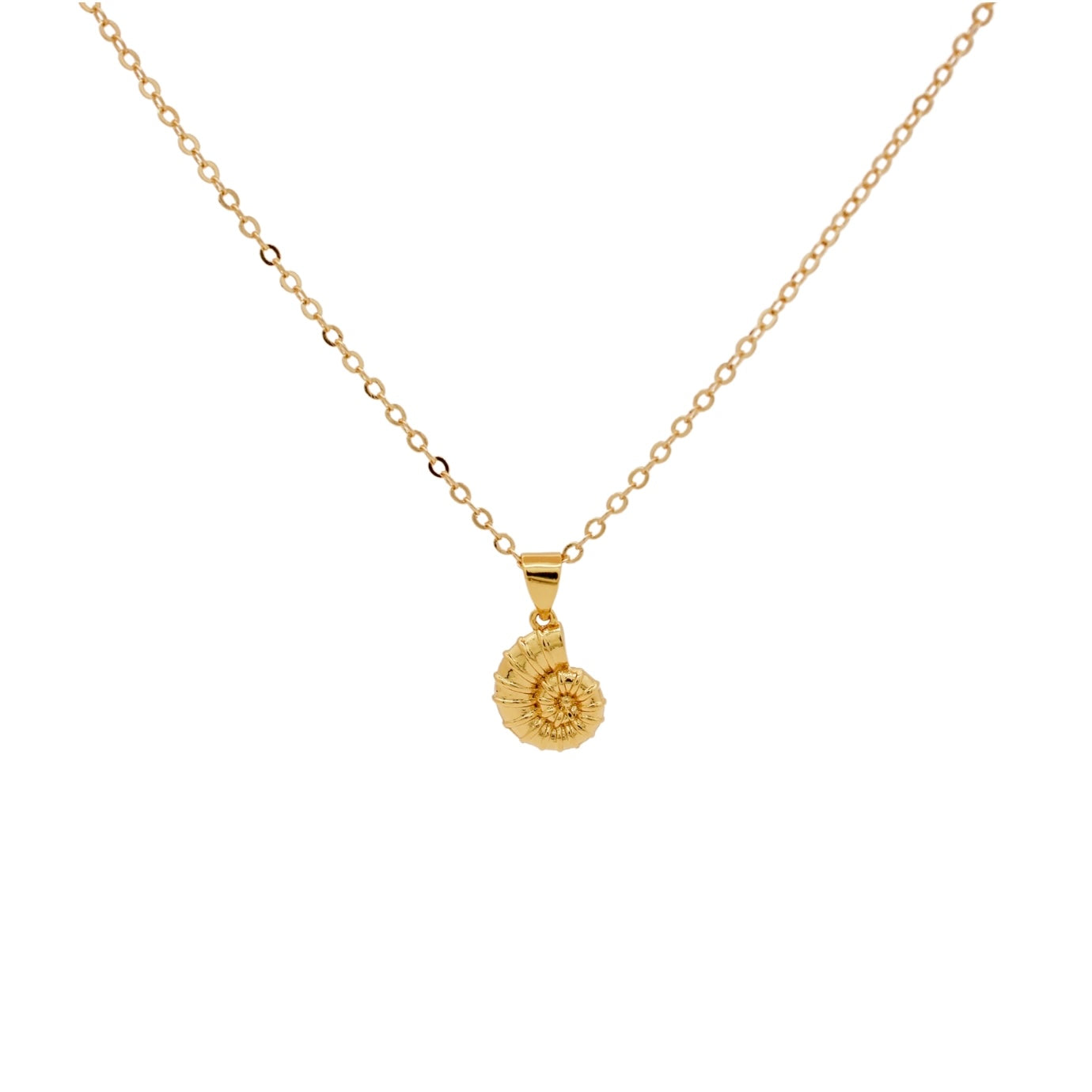 COLLAR CORAL