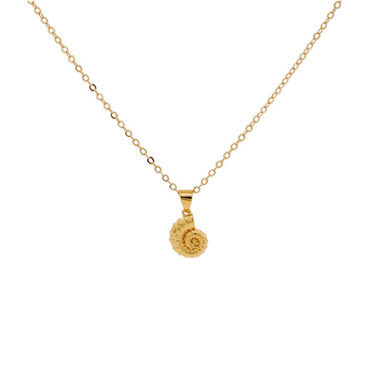 COLLAR CORAL